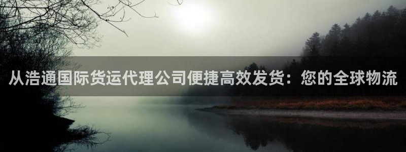 尊龙凯时白家乐：从浩通国际货运代理公司便捷高效发货：您的